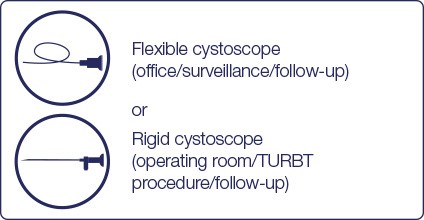 flexible cystoscope or rigid cystoscope